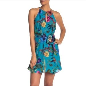 Parker Azule Sardinia Mini Dress Size  M  NWT